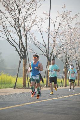 2024金东绿道·浙江马拉松团体赛