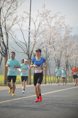 2024金东绿道·浙江马拉松团体赛