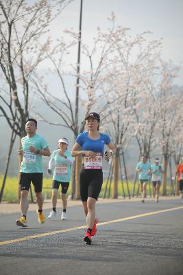 2024金东绿道·浙江马拉松团体赛