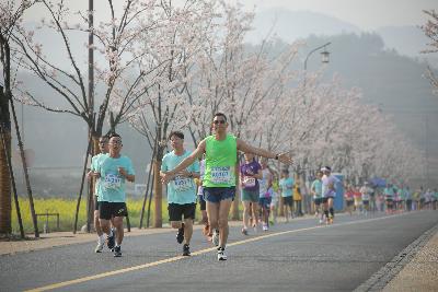 2024金东绿道·浙江马拉松团体赛