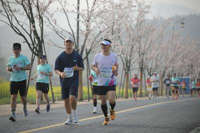 2024金东绿道·浙江马拉松团体赛