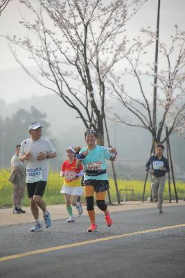 2024金东绿道·浙江马拉松团体赛