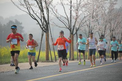 2024金东绿道·浙江马拉松团体赛