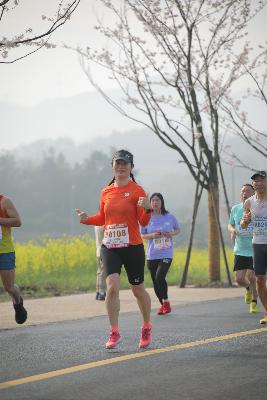 2024金东绿道·浙江马拉松团体赛