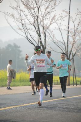 2024金东绿道·浙江马拉松团体赛