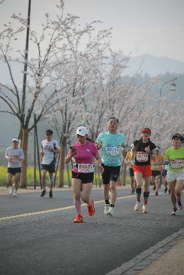 2024金东绿道·浙江马拉松团体赛