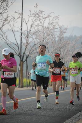 2024金东绿道·浙江马拉松团体赛