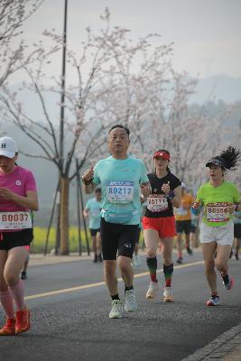 2024金东绿道·浙江马拉松团体赛