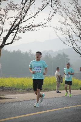 2024金东绿道·浙江马拉松团体赛