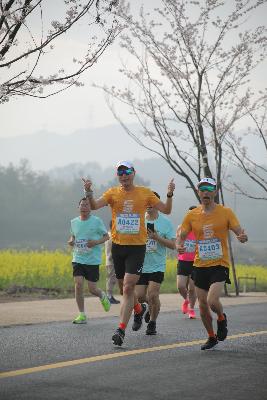 2024金东绿道·浙江马拉松团体赛