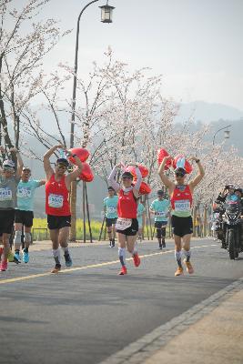 2024金东绿道·浙江马拉松团体赛