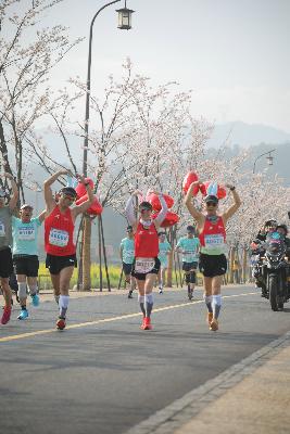 2024金东绿道·浙江马拉松团体赛