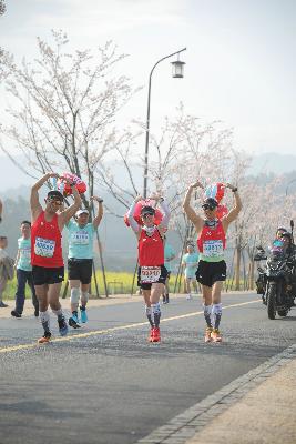 2024金东绿道·浙江马拉松团体赛