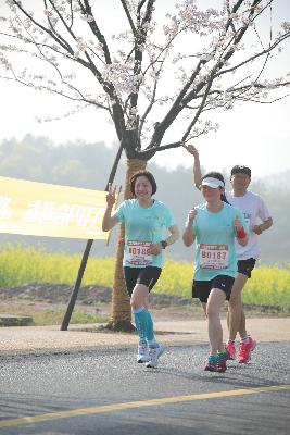 2024金东绿道·浙江马拉松团体赛