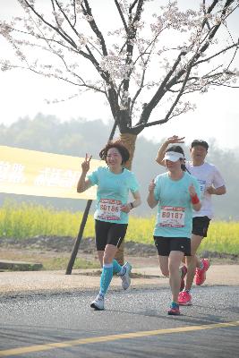 2024金东绿道·浙江马拉松团体赛