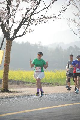2024金东绿道·浙江马拉松团体赛