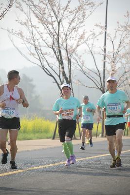 2024金东绿道·浙江马拉松团体赛