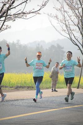 2024金东绿道·浙江马拉松团体赛