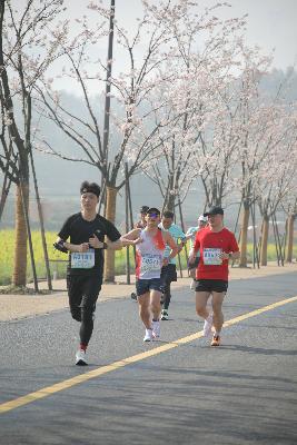 2024金东绿道·浙江马拉松团体赛