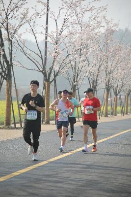 2024金东绿道·浙江马拉松团体赛