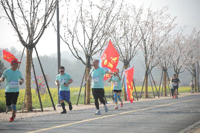 2024金东绿道·浙江马拉松团体赛