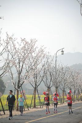2024金东绿道·浙江马拉松团体赛