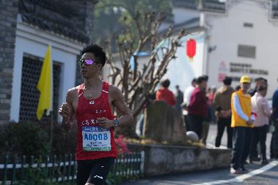 2024金东绿道·浙江马拉松团体赛