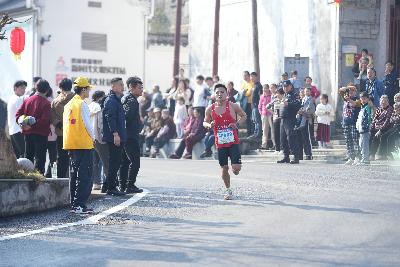 2024金东绿道·浙江马拉松团体赛