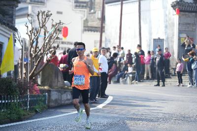 2024金东绿道·浙江马拉松团体赛