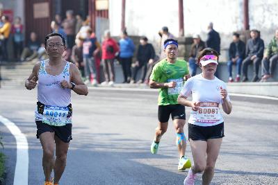 2024金东绿道·浙江马拉松团体赛