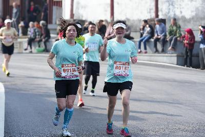 2024金东绿道·浙江马拉松团体赛