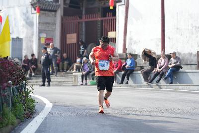 2024金东绿道·浙江马拉松团体赛