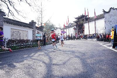 2024金东绿道·浙江马拉松团体赛