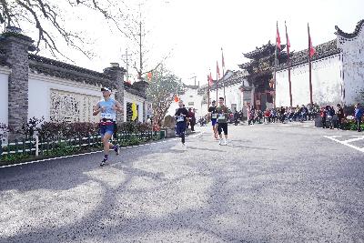 2024金东绿道·浙江马拉松团体赛