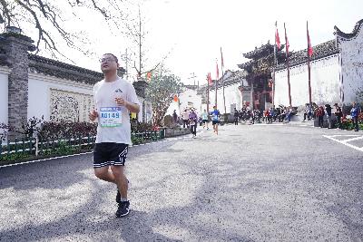 2024金东绿道·浙江马拉松团体赛