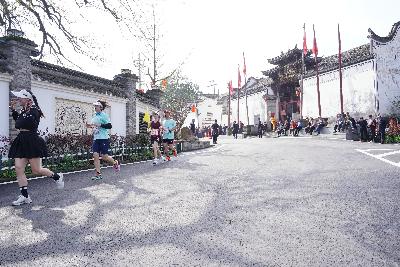 2024金东绿道·浙江马拉松团体赛