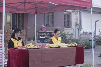 2024金东绿道·浙江马拉松团体赛
