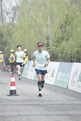 2024金东绿道·浙江马拉松团体赛
