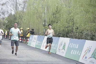 2024金东绿道·浙江马拉松团体赛