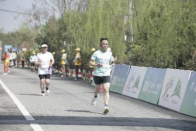 2024金东绿道·浙江马拉松团体赛