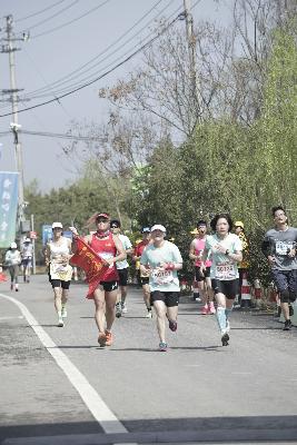 2024金东绿道·浙江马拉松团体赛
