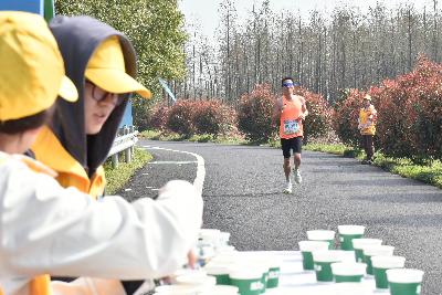 2024金东绿道·浙江马拉松团体赛