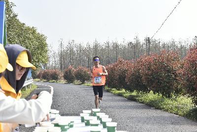 2024金东绿道·浙江马拉松团体赛