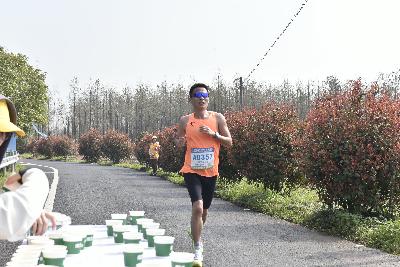 2024金东绿道·浙江马拉松团体赛