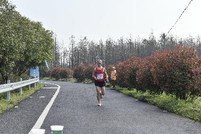 2024金东绿道·浙江马拉松团体赛