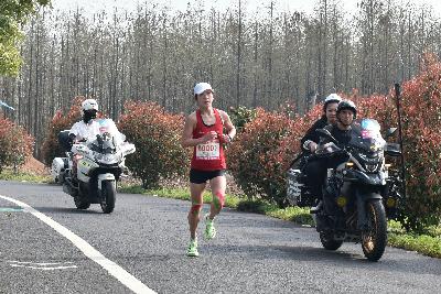 2024金东绿道·浙江马拉松团体赛