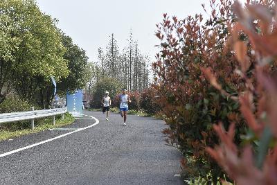 2024金东绿道·浙江马拉松团体赛
