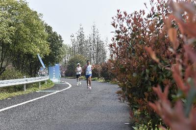 2024金东绿道·浙江马拉松团体赛