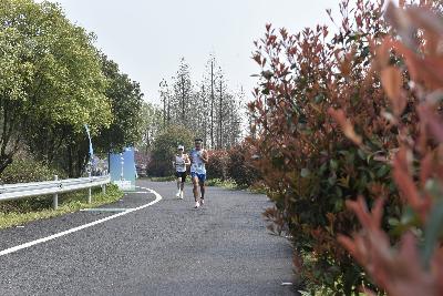 2024金东绿道·浙江马拉松团体赛