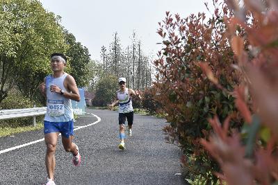 2024金东绿道·浙江马拉松团体赛